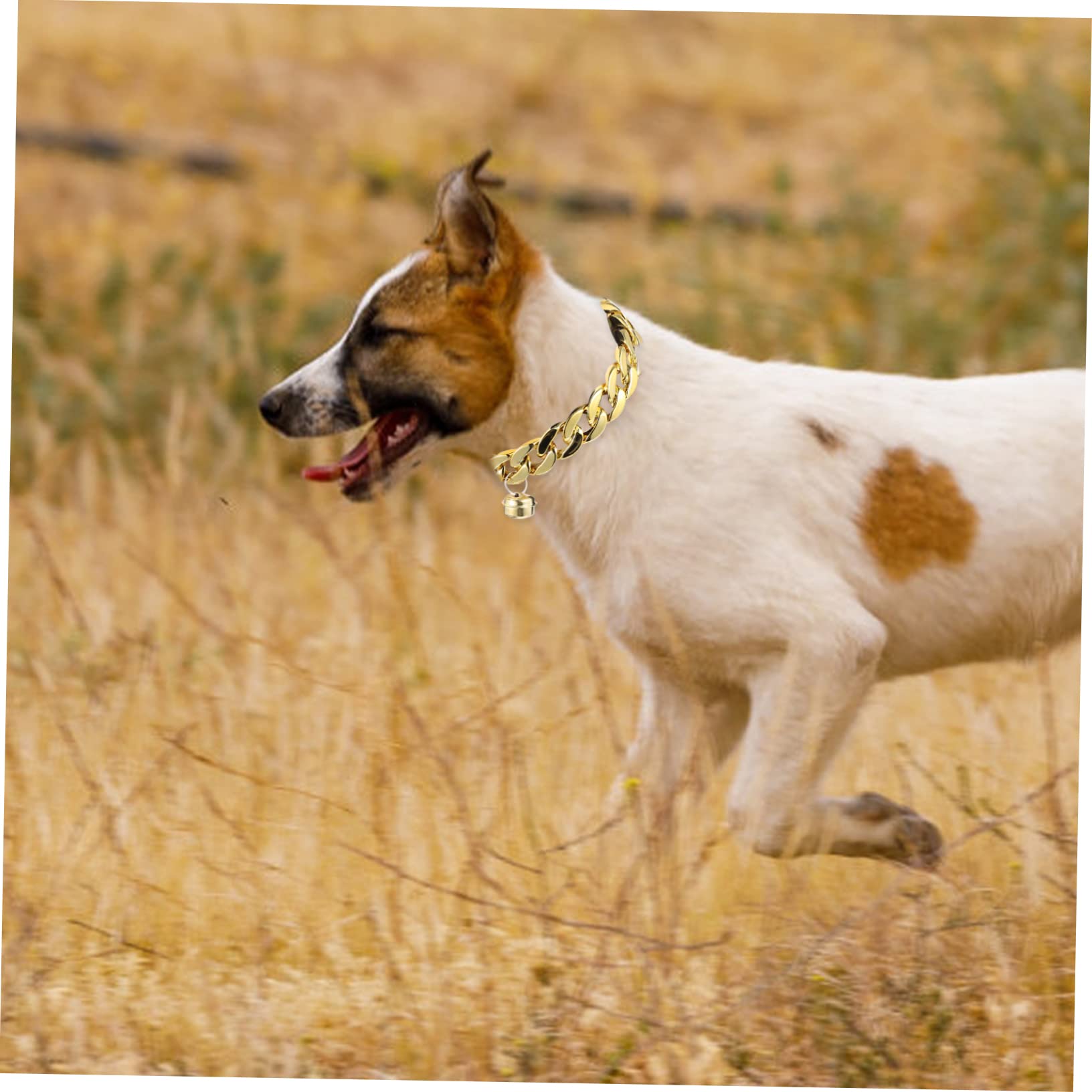 TOGEVAL 2Pcs Chain Dog Neck Ornament Stylish Pet Decorative Necklace for Festivals and Parties for Dogs Unique Design with Bell Durable Pet Accessory