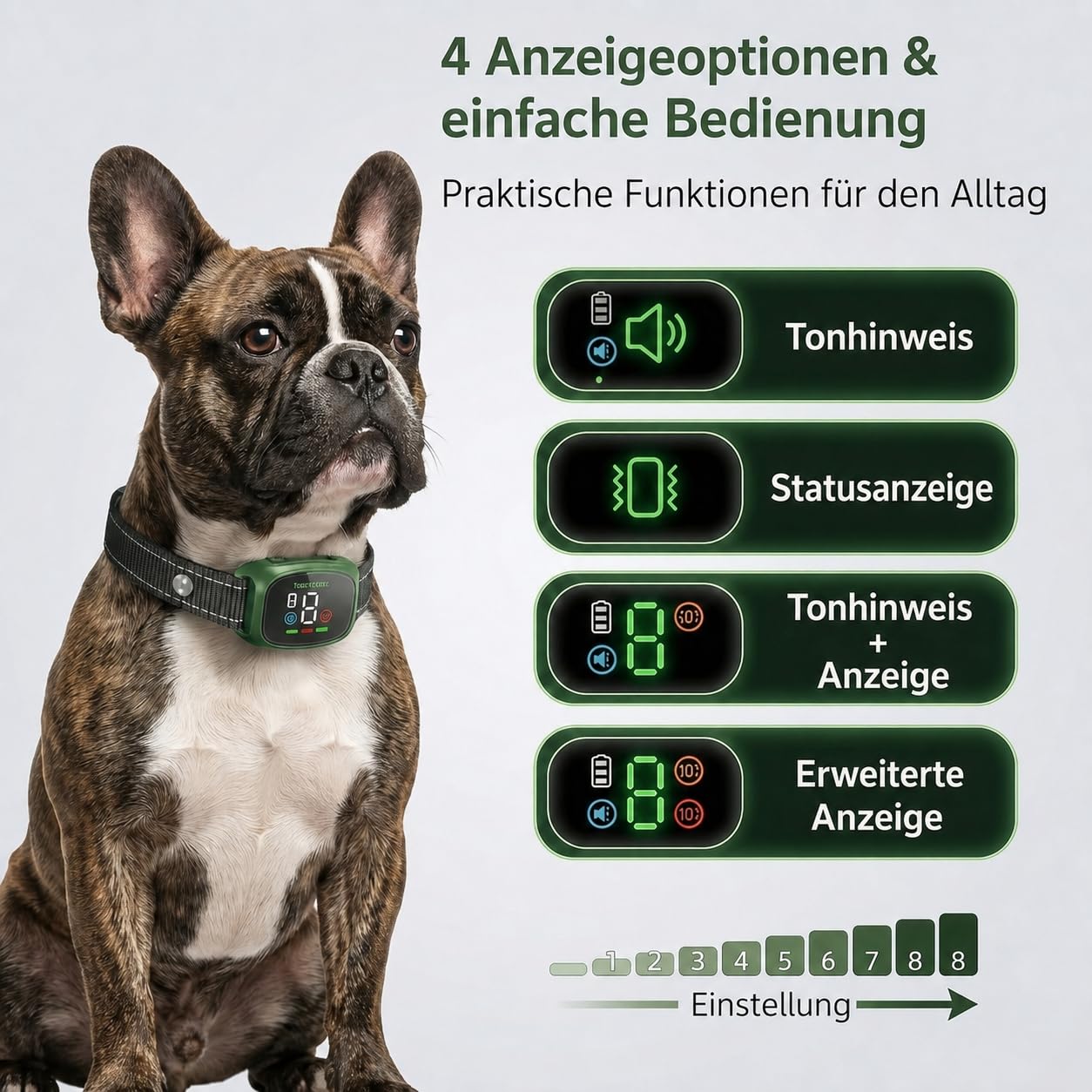Verstellbares Hundehalsband für Alltag und Outdoor - Leichtes, wasserbeständiges Hundezubehör für Spaziergänge, Garten und Reisen, geeignet für kleine und mittelgroße Hunde (Schwarz) XGQ-002