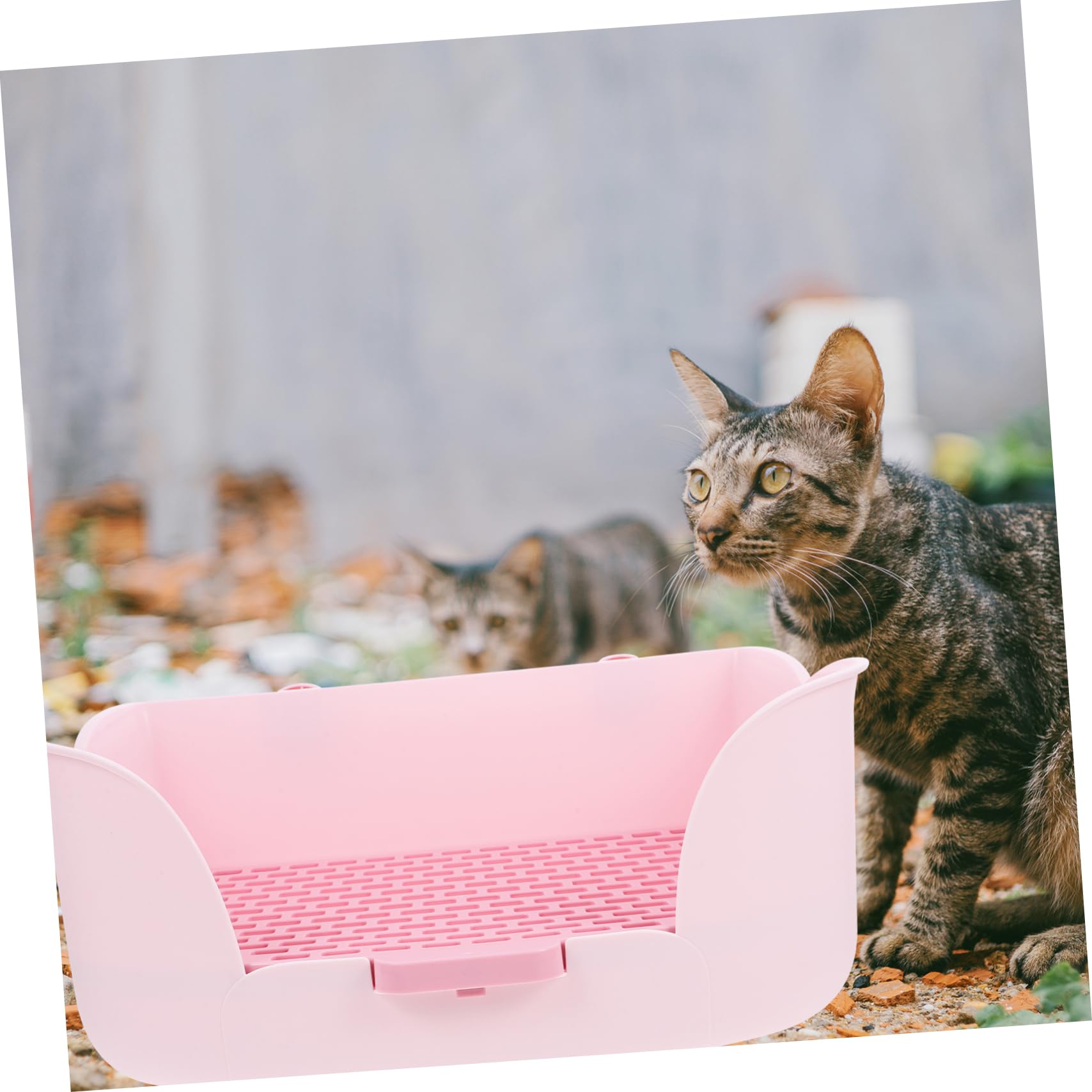 Lettiera per Piccoli Animali Toilette per Conigli e Cavia Vassoio per Addestramento Riutilizzabile Design Compatto e Portatile per Pulito e Confortevole