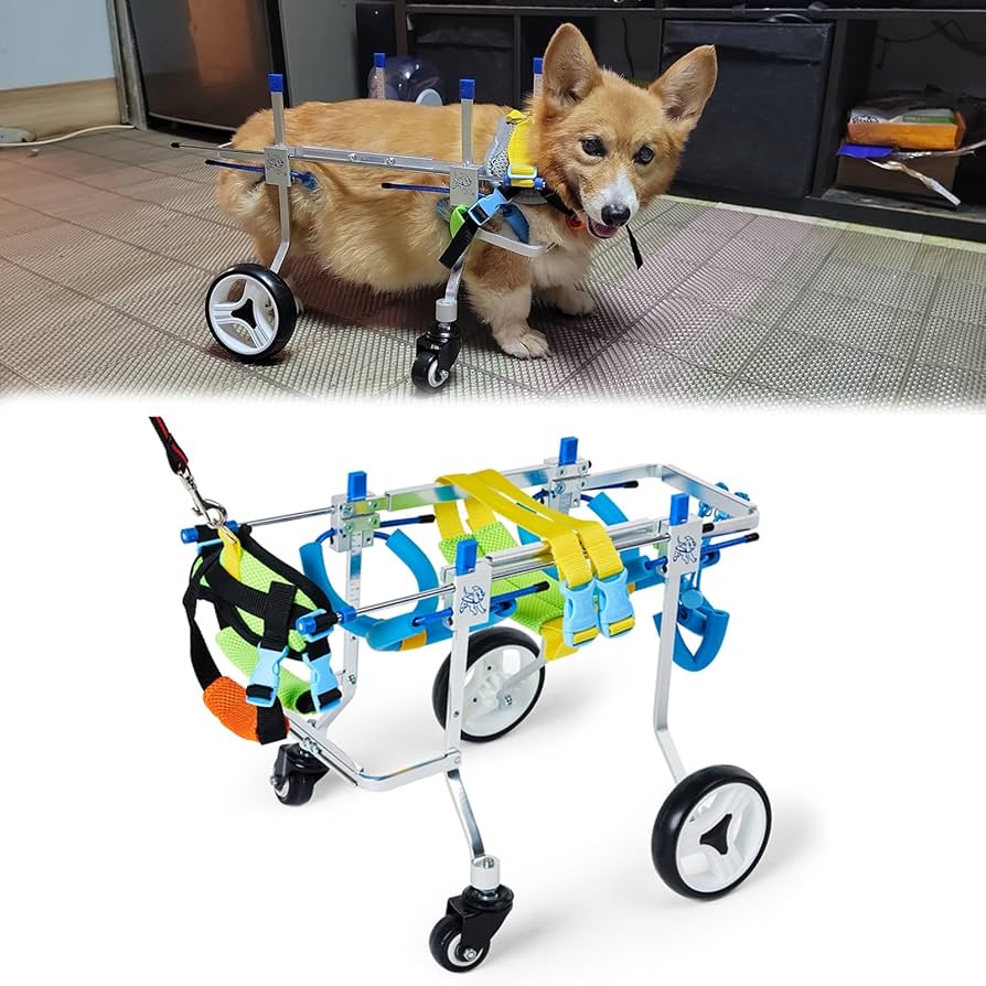 犬用車椅子、コーギー用4輪車椅子、犬の車椅子
