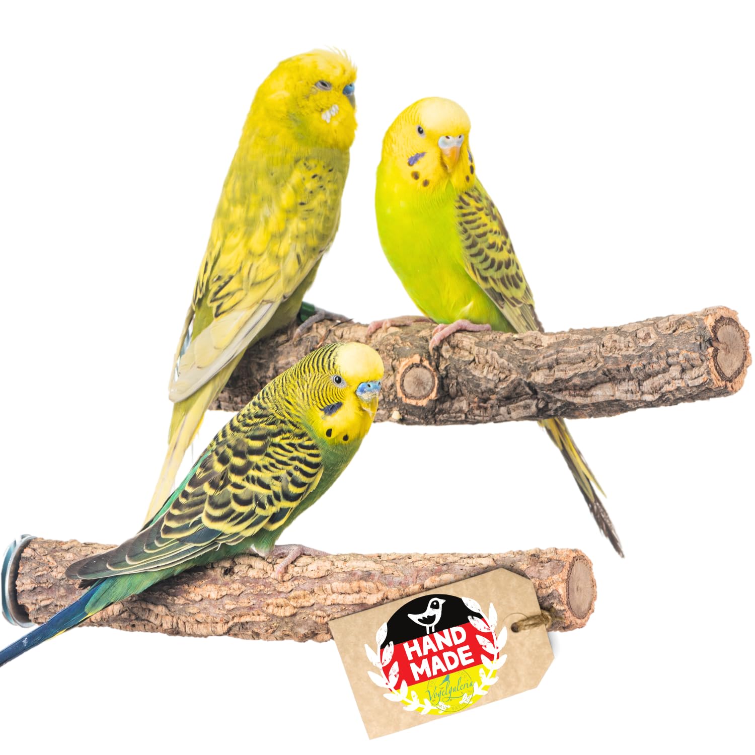 Vogelgaleria® 2 posatoi in sughero con corteccia di sughero per sedersi e sgranocchiare, per uccelli e uccelli, per la cura degli artigli, in sughero