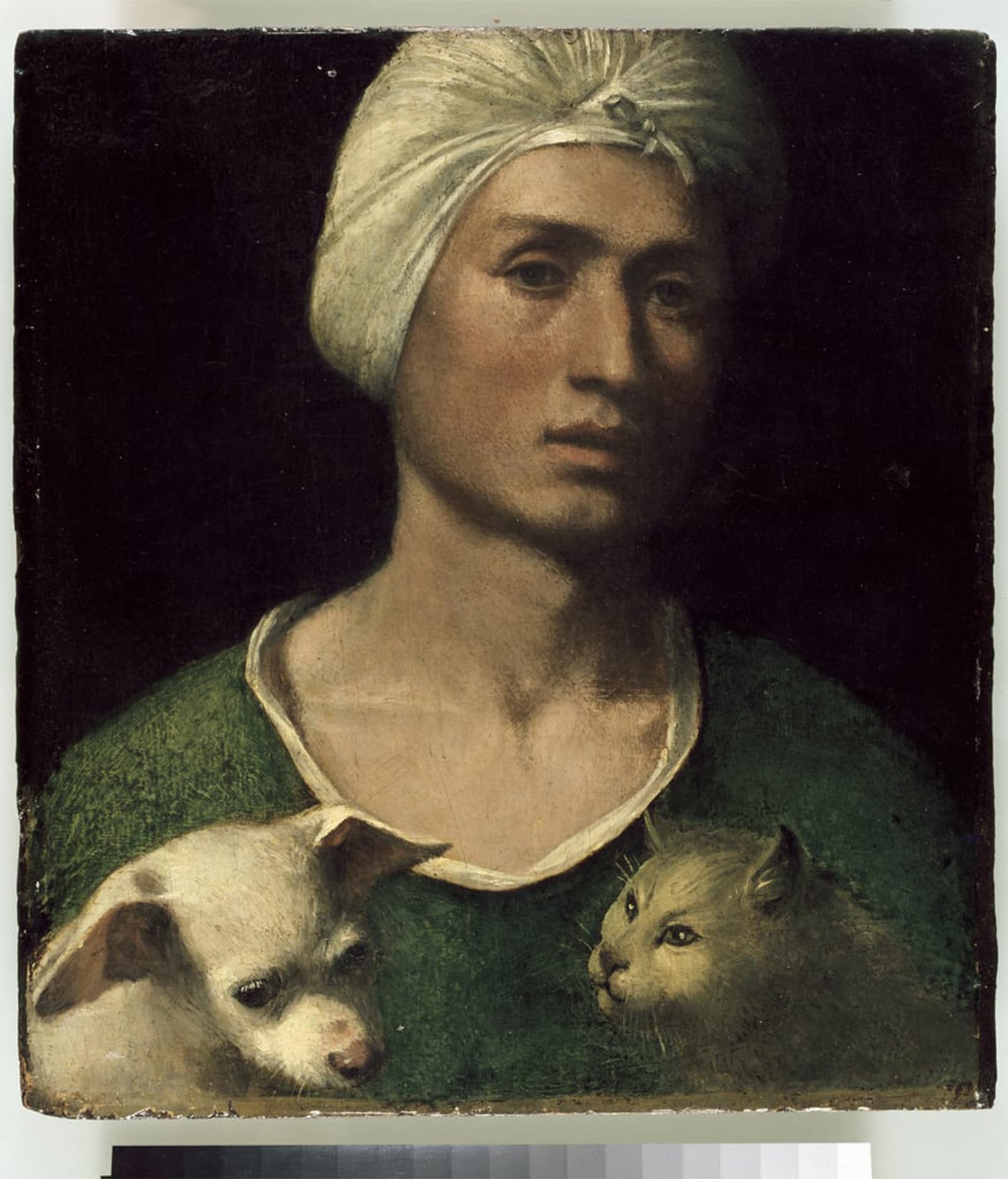 ARTXLXXBN Famous Print Painting Colorful Art Print Portrait of a Young Man with a Dog and a Cat by Dosso Dossi Canvas Art Decorations for Home Decor 60x90cm