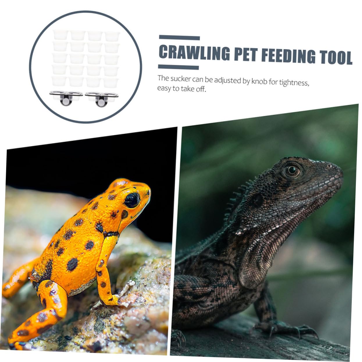 BESPORTBLE 4sets Ciotola per Rettili con Ventosa Mangiatoia Materiale Avanzato per Cibo Facile da Pulire Ciotole Extra Accessorio per Rettili e