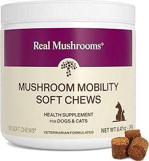 Mobility Chews for Dogs & Cats – Green Lipped Mussel & ErgoGold Mushroom Blend – Dogs & Cat Vitamins Treats for Active Routines – Joint, Hip & Flexibility Support – 240 ct Supplement