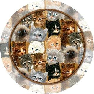 Thirstystone 4~pc. Kitten Collage Coaster Set  - Compare price