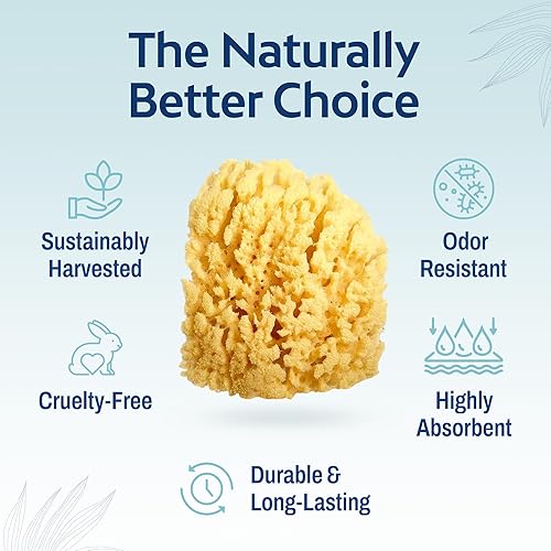 Miniatura 4 de HartFelt Esponja suave exfoliante de mar amarillo de 4 pulgadas  Esponjas de ducha naturales para baño para hombres y mujeres  Espuma rica