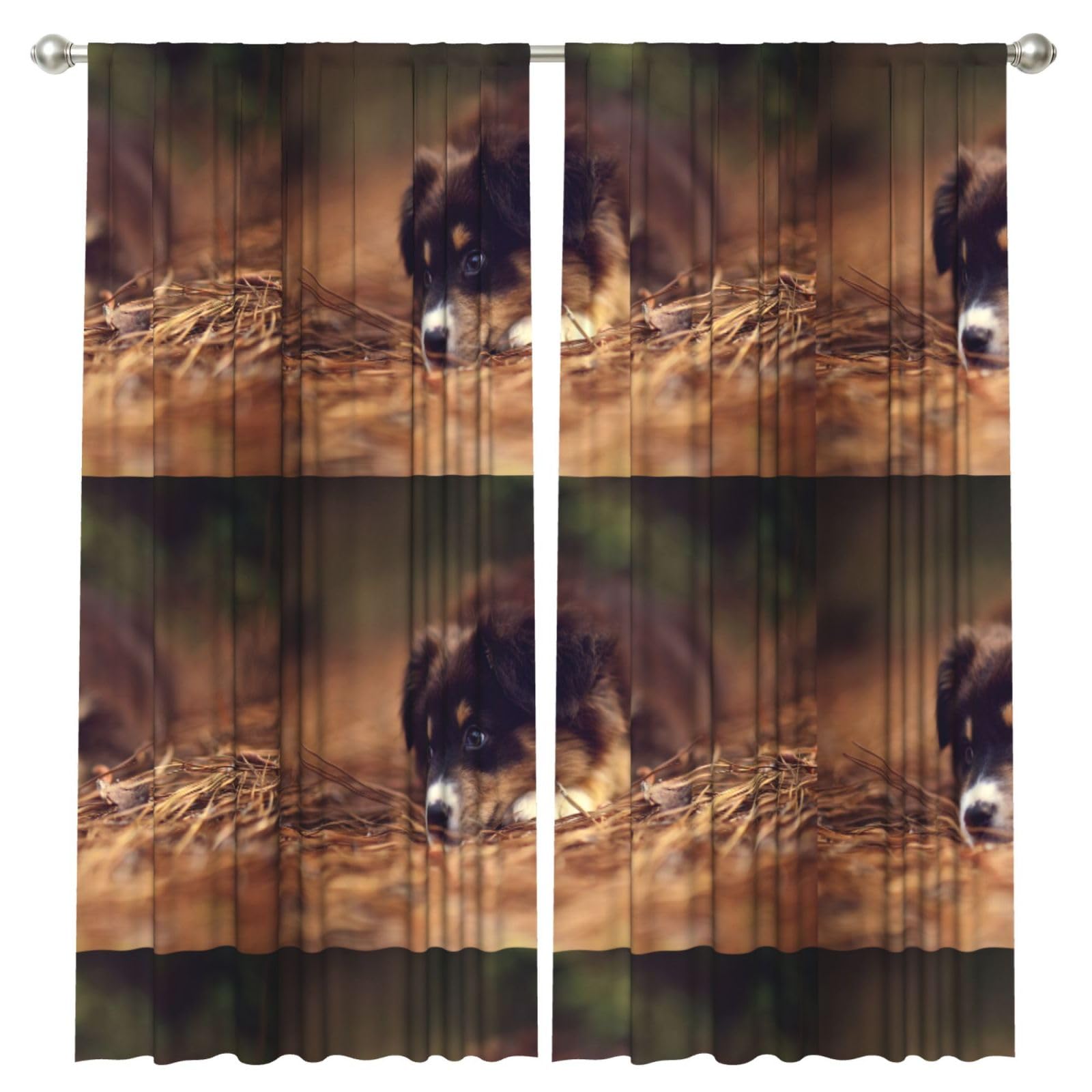 InOmak Border Collie Puppy Bokeh Brown Border Collie, 2 Panels Window Curtains 52 x 84 Inch Blackout Curtains for Living Room Bedroom