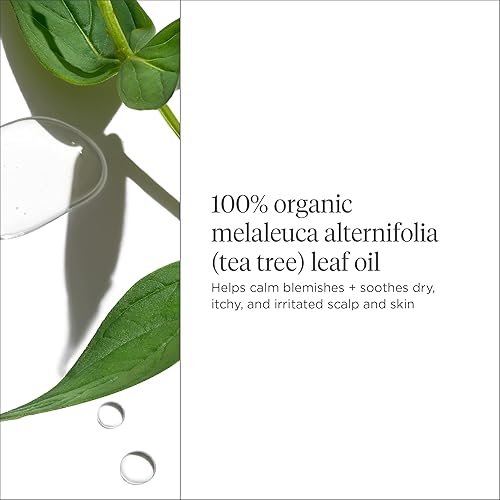 Miniatura 3 de Briogeo Scalp Revival orgánico + australiano 100% aceite de árbol de té para piel y cuero cabelludo, vegano, sin falatos ni parabenos, 1 onza