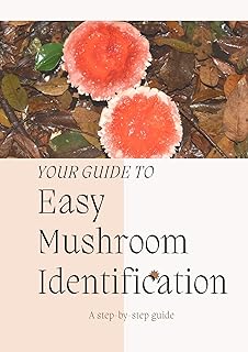 Easy Mushroom Identification