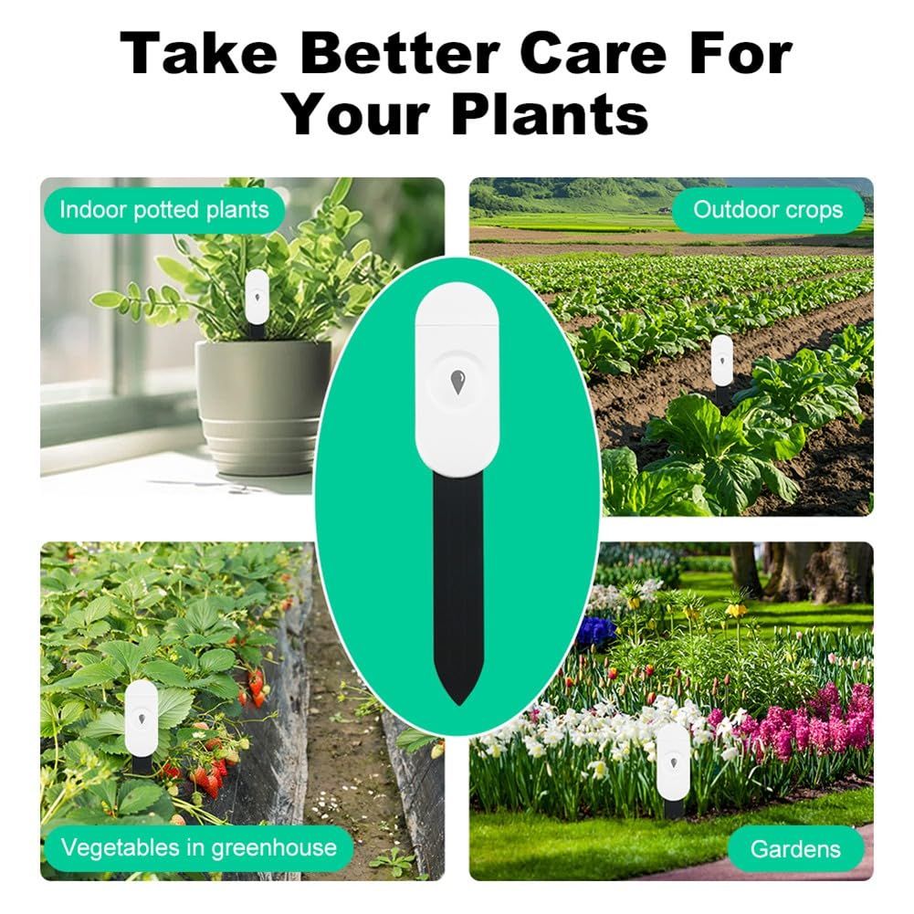 Capteur d'humidité du sol, cadeau pour les amateurs de plantes et