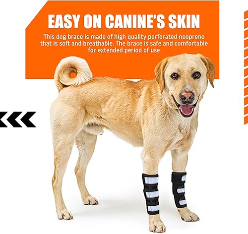 Miniatura 7 de NeoAlly - Soporte de pierna delantera para perros y gatos, soporte de pierna de perro con inserciones de resorte de metal, manga de pierna de perro