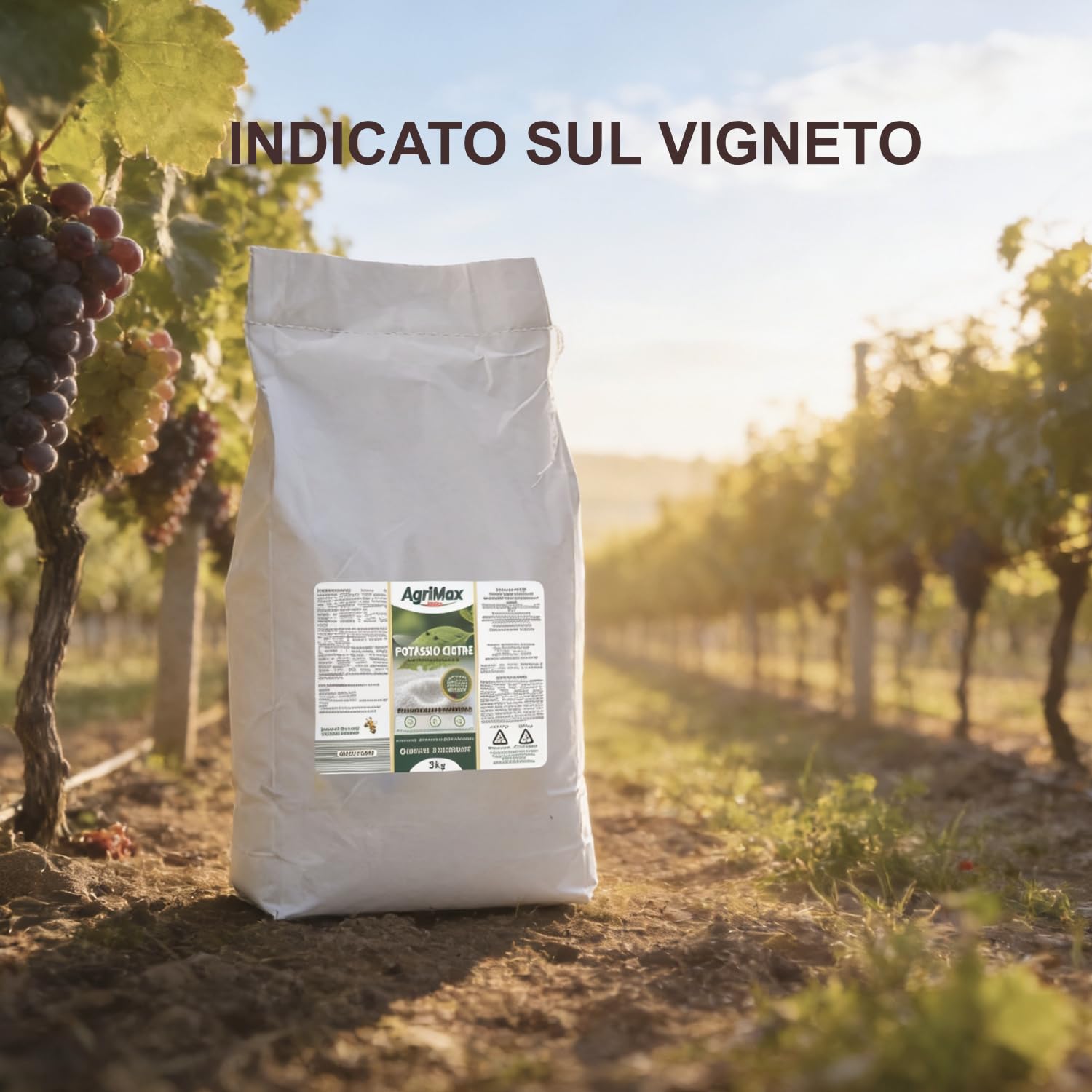 Bioki Bicarbonato di potassio per orto, Giardino e frutteto Busta da 3 kg, Gran Risparmio
