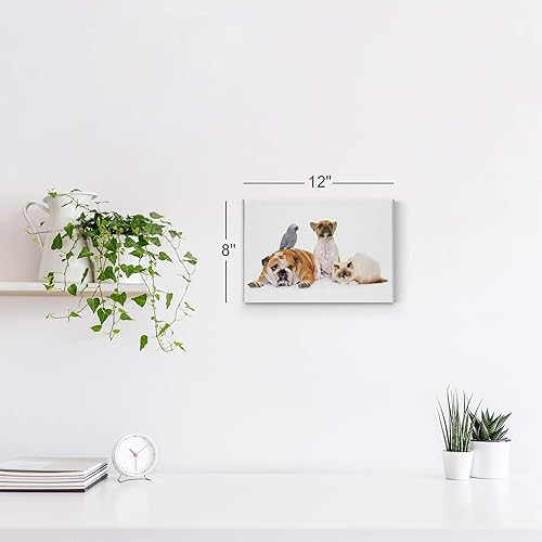 Vista 113 de Smile Art Design Border Collie Bulldog Rottweiler Cachorro Persa Gatito Animal Lienzo Impresión Arte de Pared Pet Cat Dog Lover Sala Dormitorio