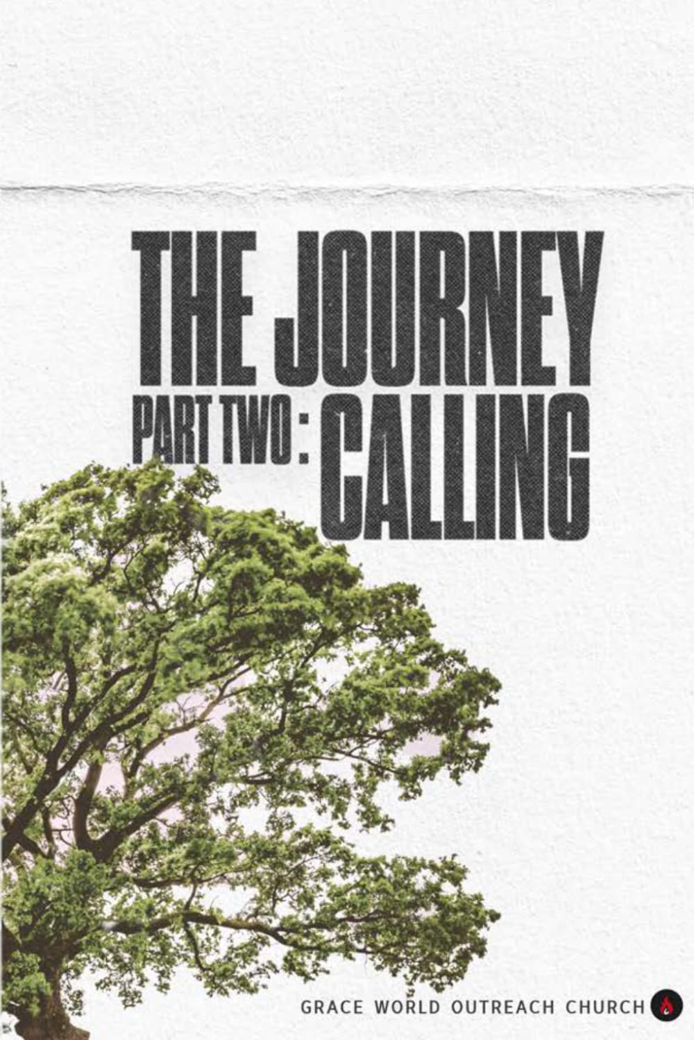 The Journey by Debra Milton PAPERBACK 9798246298534