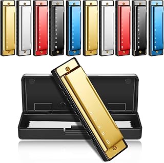 Liliful 10 Pcs 10 Hole Metal Harmonica with Number Holes Musical Enlightenment 5 Colors Educational Harmonica Instrument Charity Party Birthday Christmas Gifts for Beginners