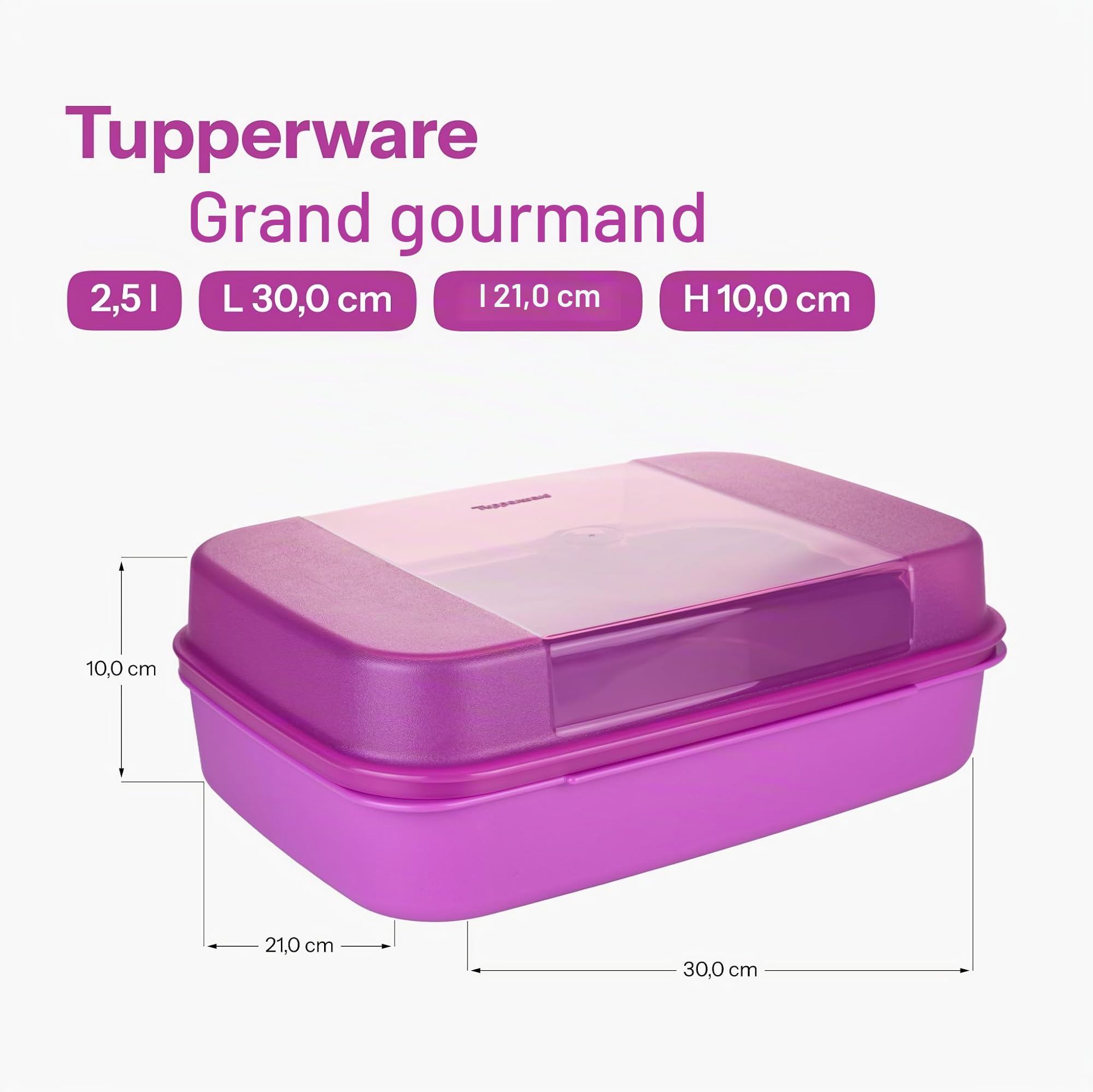 Tupperware Large 2.5L Trendy Colour Candy Box Picnic Box : Amazon