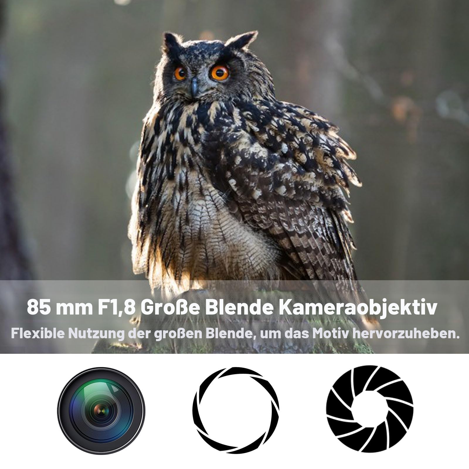 Kamera-EF-Objektiv für Canon 85mm f1.8 Medium Teleobjektive Manuelles Porträtobjektiv für Canon EOS Rebel T8i T7i T7 T6 T6s T6i T3i T2i SL3 SL2 90D 80D 77D 4000D,1DX 5D 6D Mark II/III/IV etc