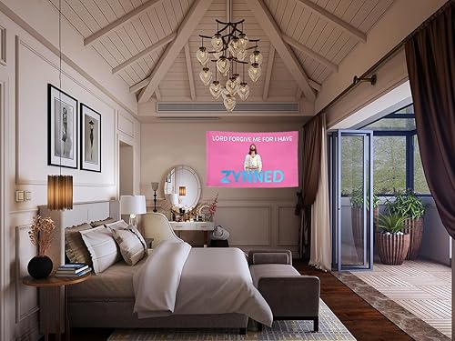 Miniatura 5 de Banderas divertidas con texto en inglés "I Have Zynned" de 4 x 6 pies, con 2 ojales de latón para decoración de pared de dormitorio, poliéster