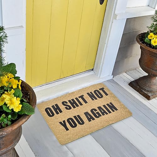 Vista 16 de ChezMax Felpudo antideslizante impermeable divertido para interiores y exteriores, tapete de bienvenida universal para puerta delantera, absorbente