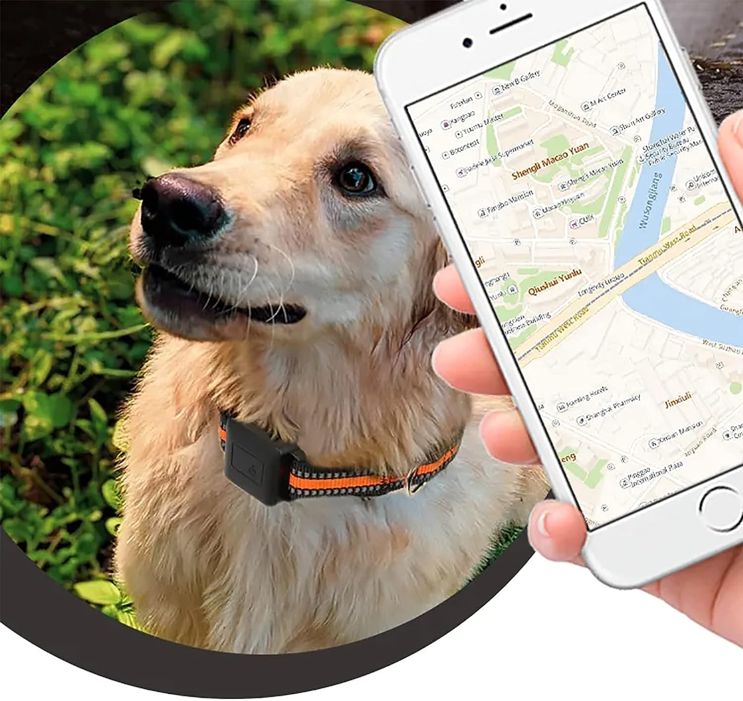 KEULEN Localizzatore di Animali Domestici GPS, Localizzatore di Cani Wireless, Posizionamento in Tempo Reale/traiettoria Storica, Selezione di Mappe Multiple, Allarme Batteria Scarica per Cani, Gatti
