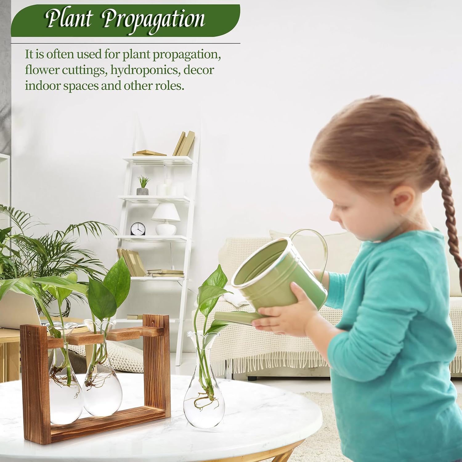 Glass Plant Propagation Station Bulb Planter Vase with Wooden Stand Birthday Gifts for Women Mom Plant Lovers Office Home Decoration - Image 5