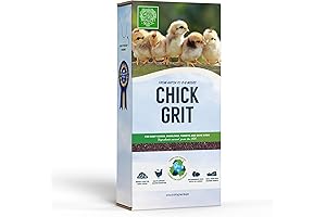 Chick Grit: Essential nourishment for baby chicks