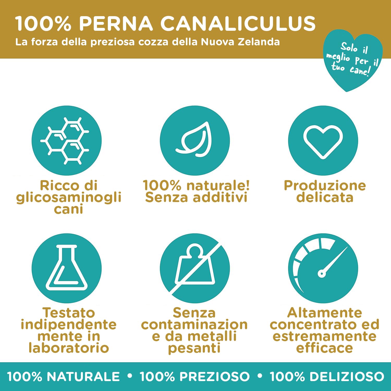 Polvere di cozza verde per cani – Integratore naturale con glucosamina, green lipped mussel 500g, supporto articolare, cozza verde cani, benessere e mobilità