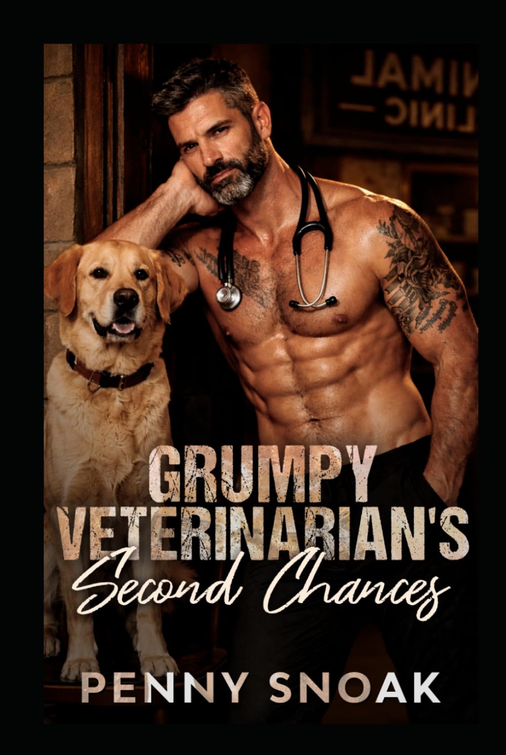 Grumpy Veterinarian's Second Chances: A Small-Town Single Mom Veterinarian Romance (Small Town Grumpy Sunshine)