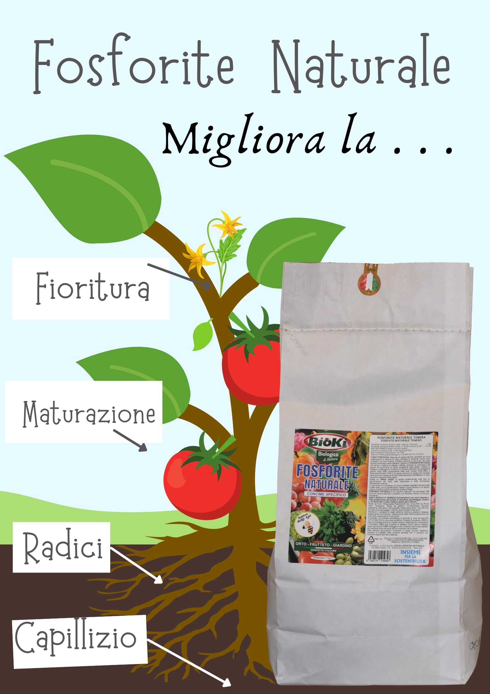 Bioki ‍ Fosforite Naturale tenero ad Alto Contenuto di fosforo ad Elevato Assorbimento, per orticoltura, frutticoltura e Giardinaggio, Ideale per aridocoltura, Busta da 5 kg