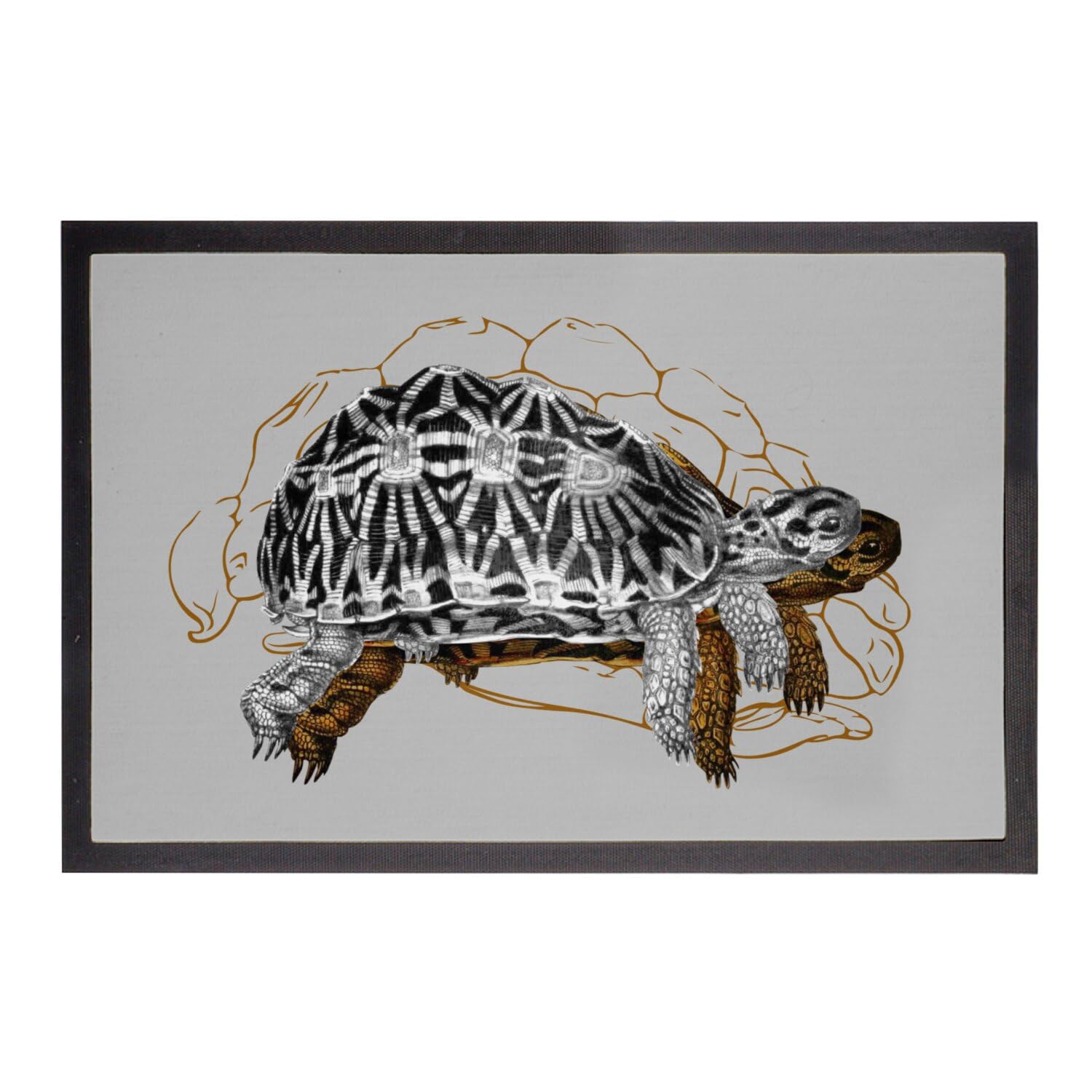 Paillasson tortue gris résistant 75x50cm pour éliminer la saleté