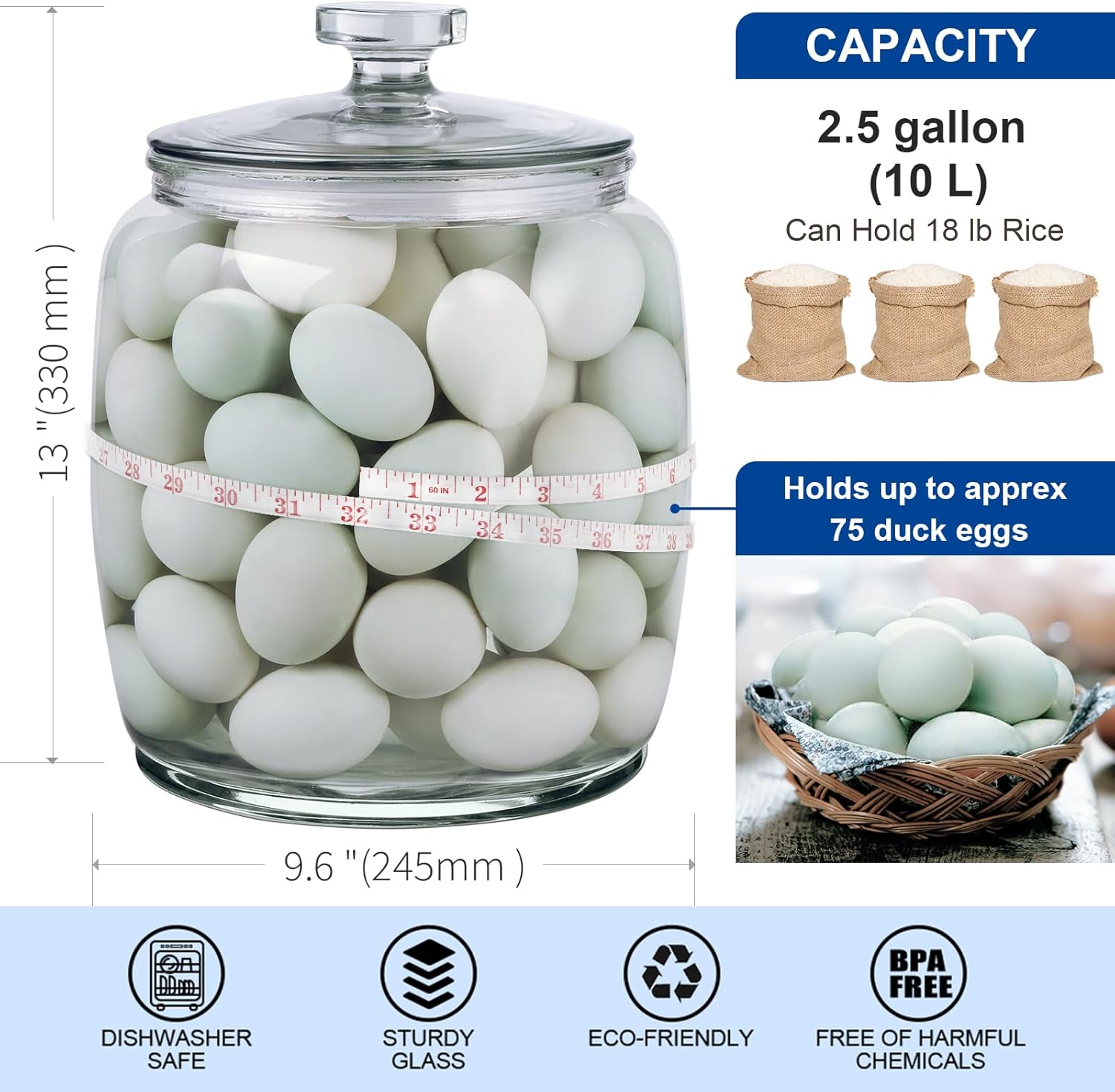 2.5 Gallon Glass Jars with Lids, Large Cookie Jars with Wide Opening, 1 Pack Glass Storage Jars with Lids for Kitchen, Great for Storage Flour, Rice, Sugar, Pasta, Candy