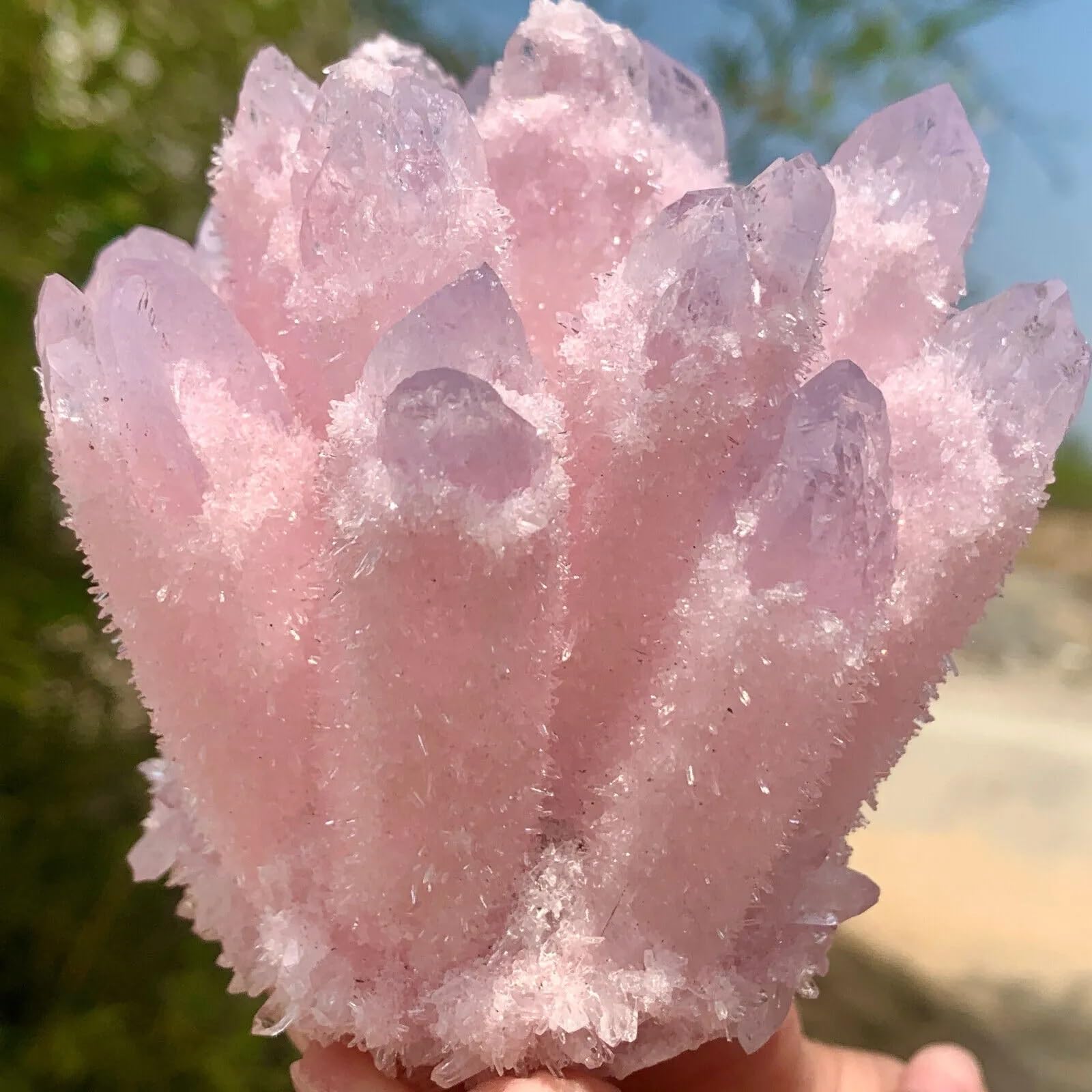 LLBOGRGGN Stone Rose Quartz Crystal Cluster Home Office Aquarius Decor Gift(600-700g)