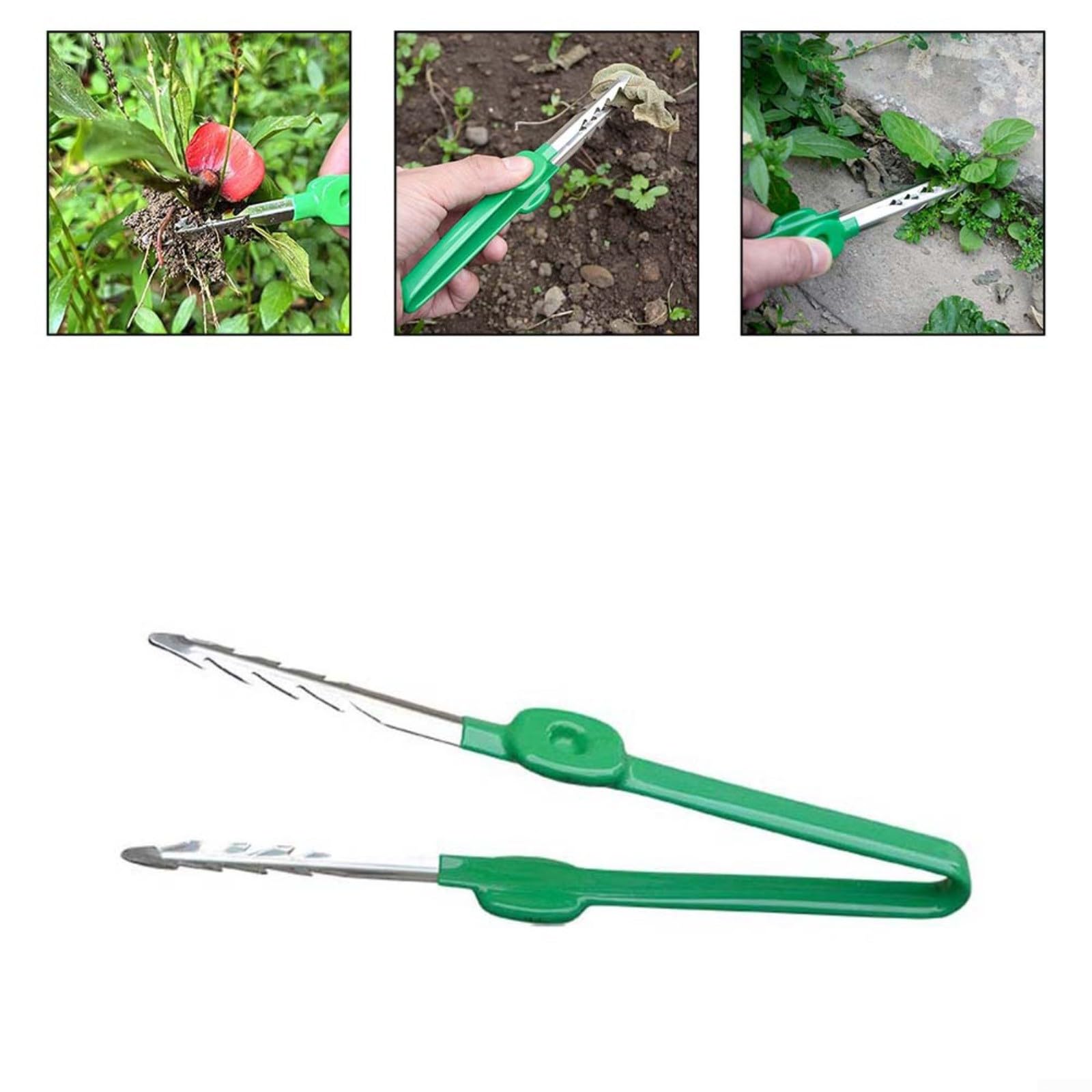 Pinzette per la cura delle piante grasse Clip portatile in acciaio inossidabile Strumento di giardinaggio multifunzionale per la manipolazione delle piante Lavoro accurato Uso educativo