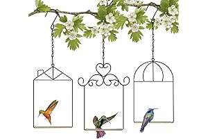 Metal Frame Hummingbird Swings and Perches