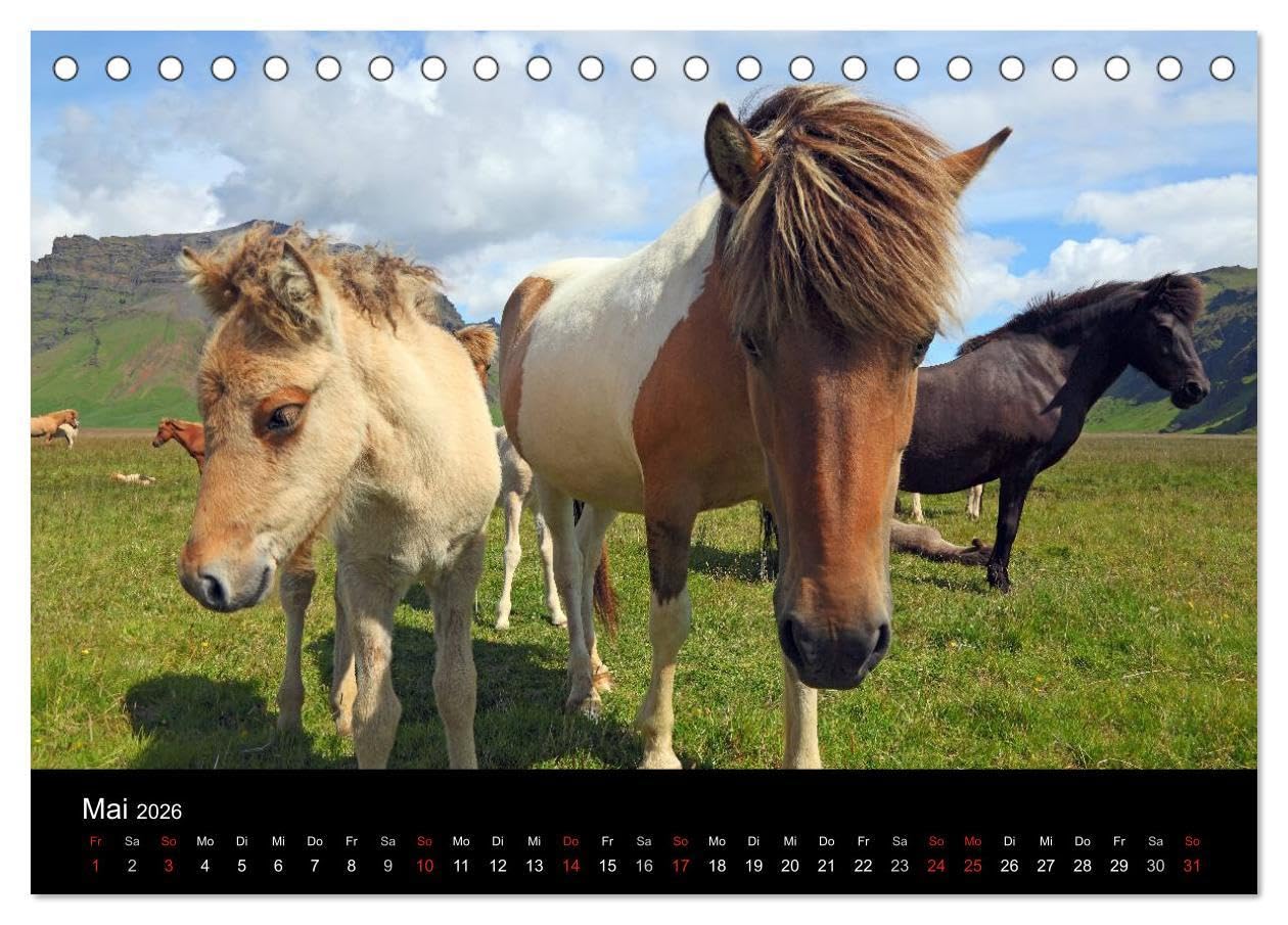 Island - Iceland (Tischkalender 2026 DIN A5 quer), CALVENDO Monatskalender: Bilder von den faszinierenden Landschaften einer großartigen, ... so konzentriert findet. (CALVENDO Natur)