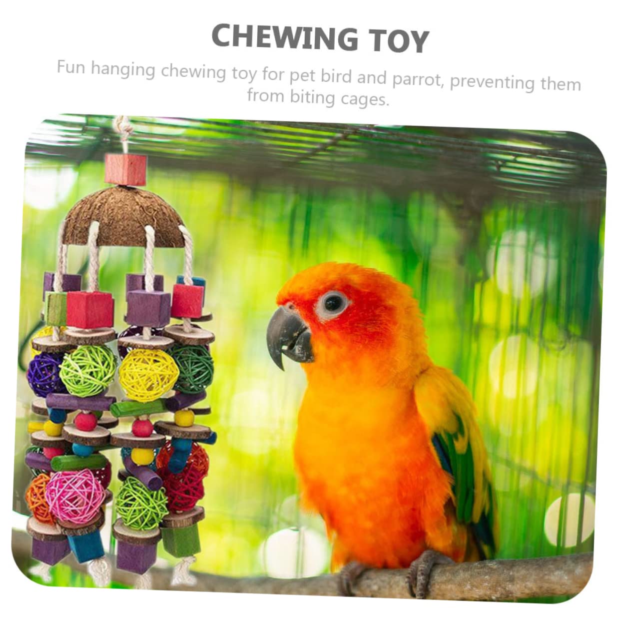 Jouet pour Perroquet Bois Suspendu Accessoire Noix De pour Oiseaux Jouet Jeu pour Cages De Oiseaux