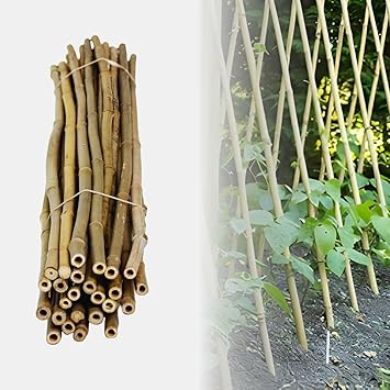 FOREVER BAMBOO BAMA-BP11 Bamboo Poles Natural Garden Plant Stakes, Bamboo Stick Plant Support Trellis, 3/8" D x 4 H, Pack of 25