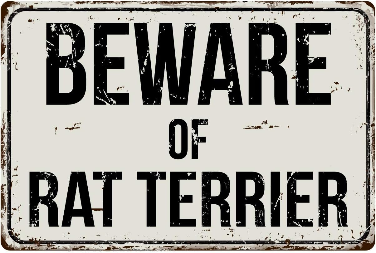 Amazon.com: Deerts 477VS Beware of Rat Terrier 8” x 12” Vintage ...