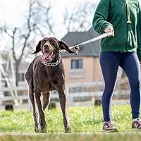 Vista 7 de Collar de perro ajustable con punta de goma cómoda y hebilla de liberación rápida para perros pequeños, medianos y grandes (S, negro)