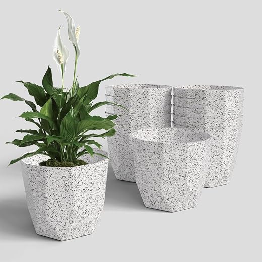 YUCCABE ITALIA SHERA Hexa Plastic Planter Pot for Plants | Decorative Flower Pot | UV Protected Lightweight Indoor Outdoor...
