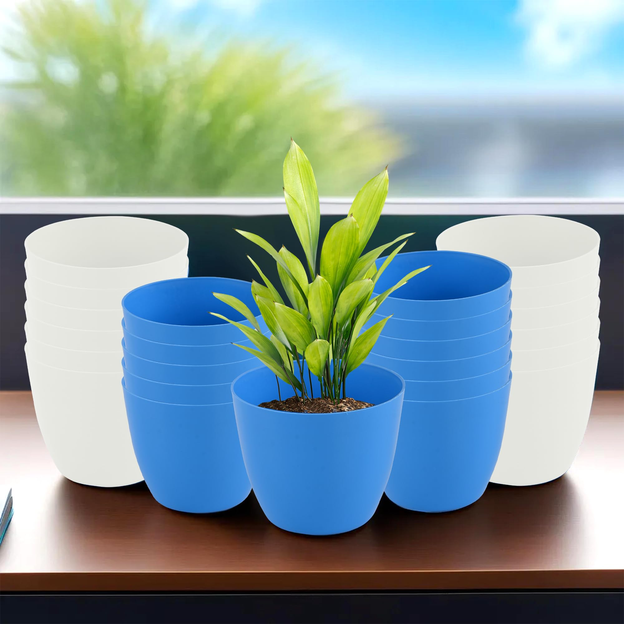 Kuber Industries (Pack of 24) Flower Pot | Fuldani for Home D?cor (5 Inch) Plain Cool Plant Stand | Phooldaan for Terrace, Garden | Blue & White (B0D8Y21XF8) Amazon Price History, Amazon Price Tracker