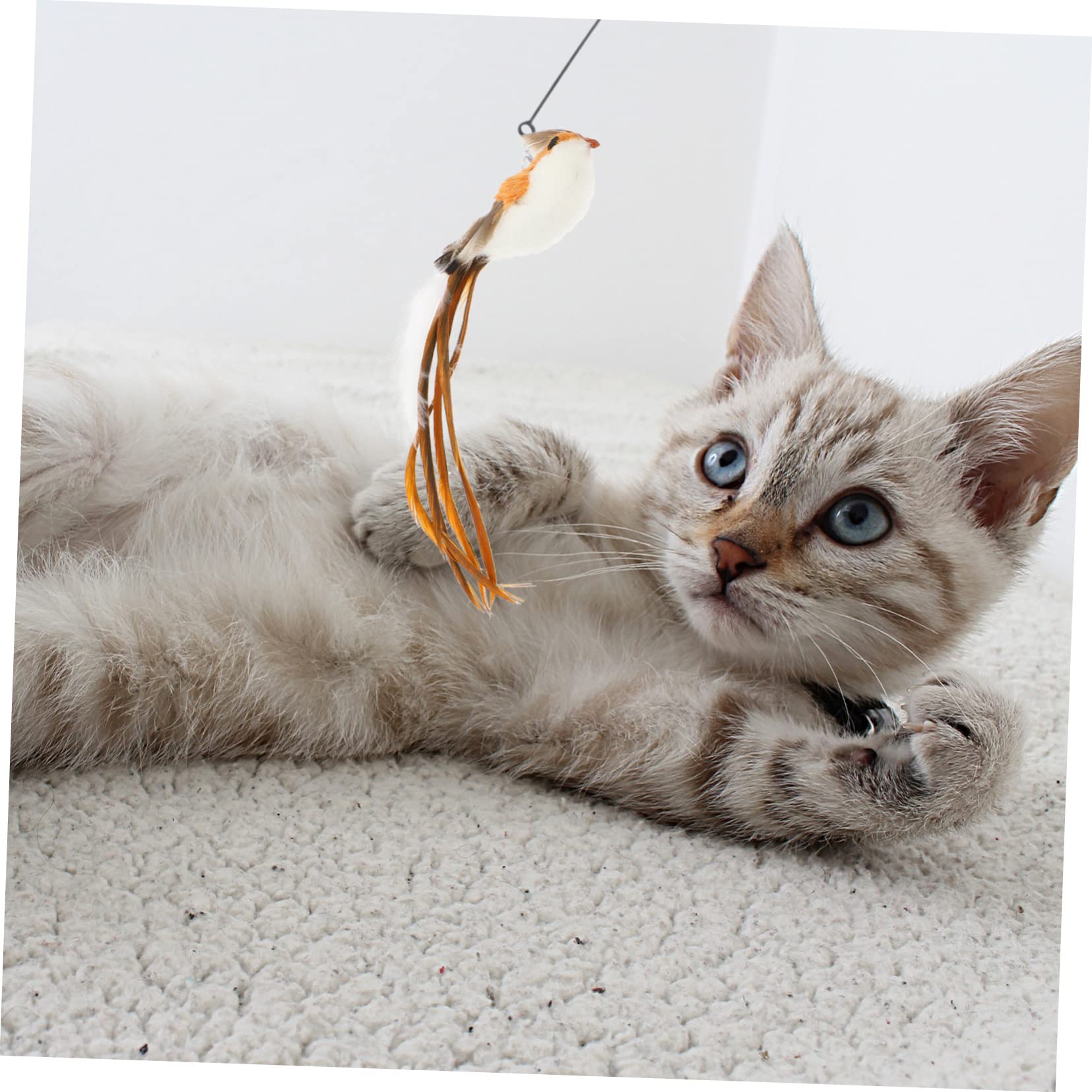 VANZACK 4ensembles à Plumes pour Chat avec Têtes De Rechange De Jouets Interactifs pour Chats Intérieur Compris Têtes Forme De Lézard De Guêpe De Cigale