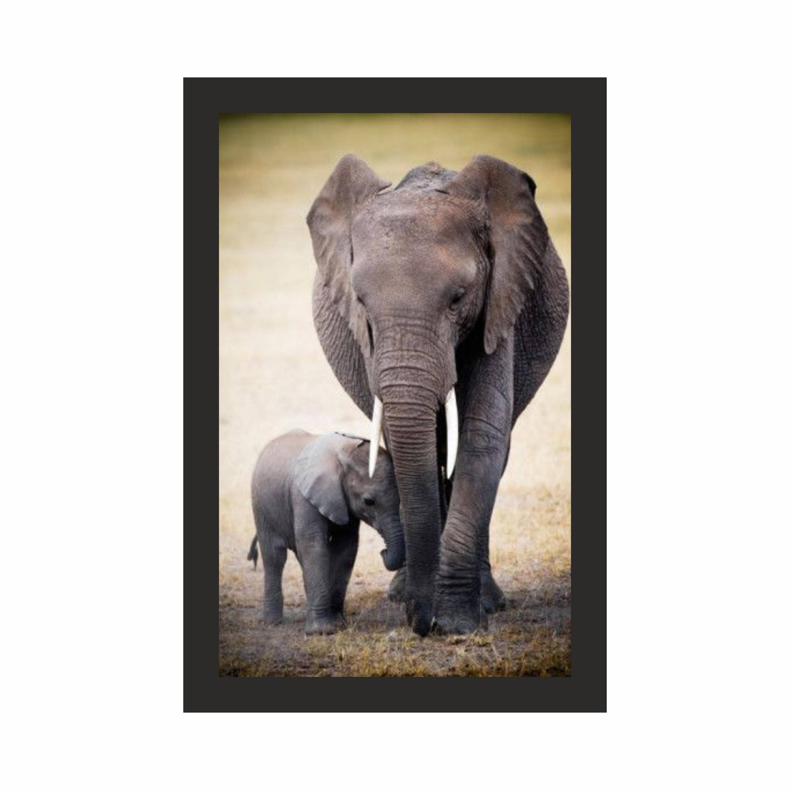 Elephant Mother and Baby Wall Art Frame 12x18 Inch