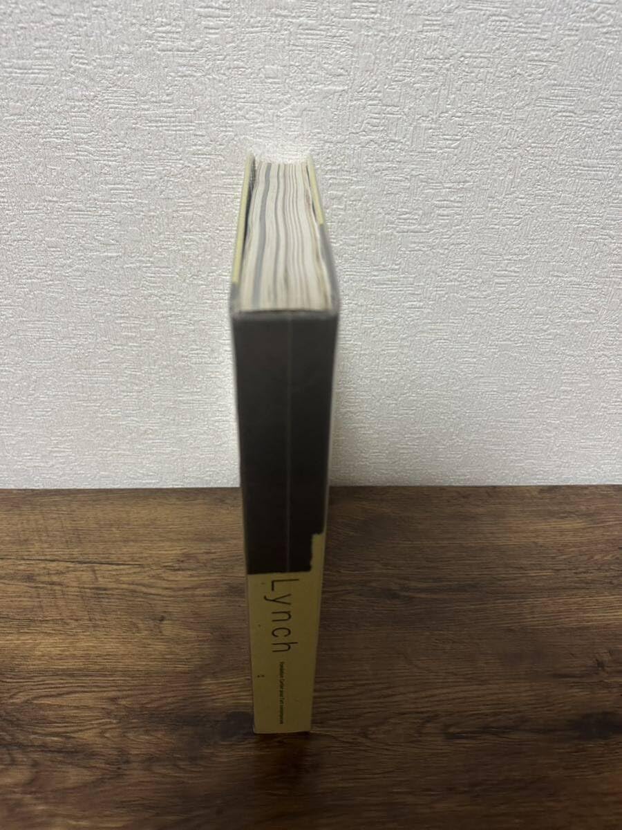 デイヴィッド・リンチ 画集 図録 洋書 Amazon.co.jp: David Lynch The Air is on Fire デヴィッド