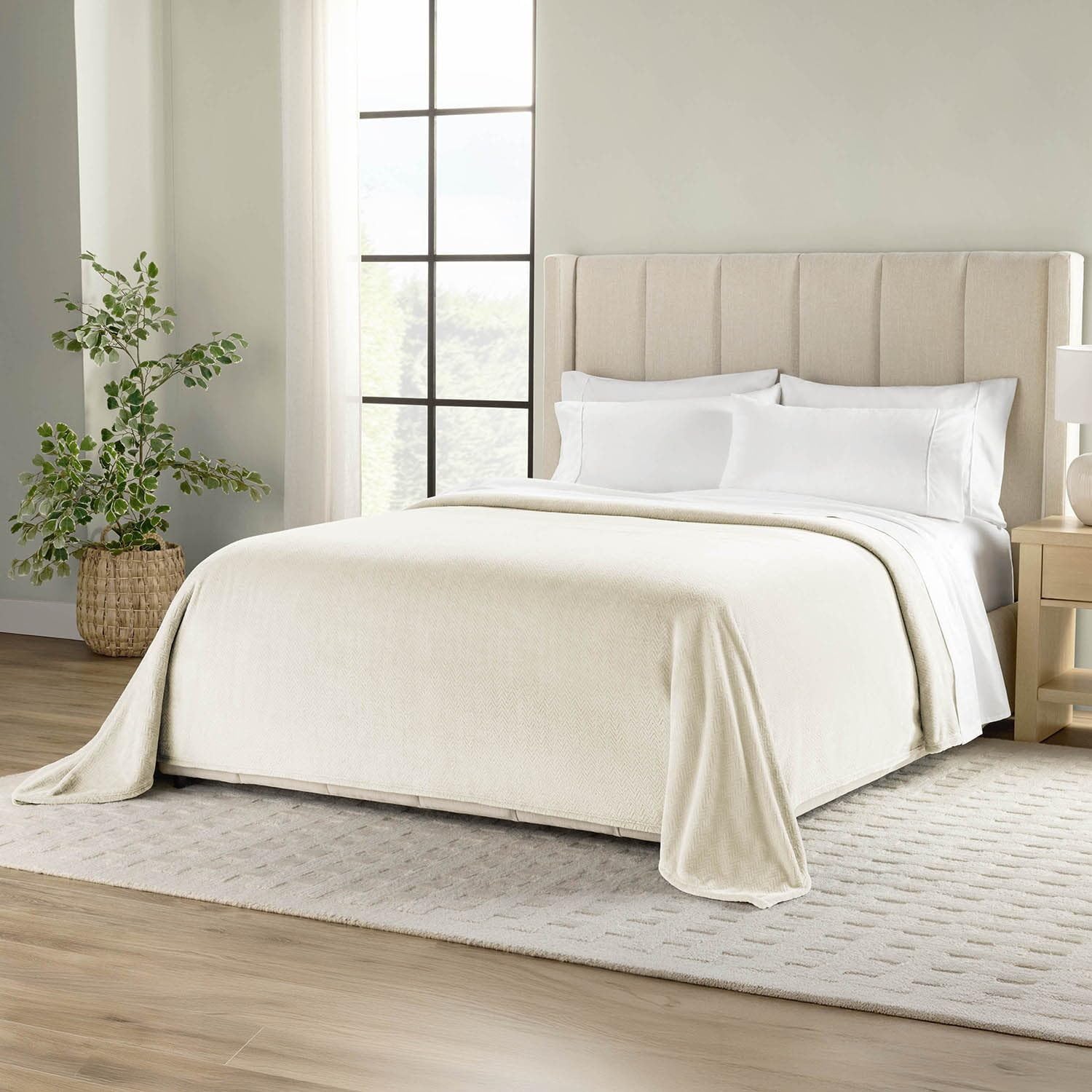 Amazon.com: Member's mark Cloud Touch Oversized Blanket, Vanilla