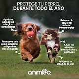 Ver la foto 2