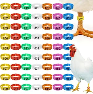 20mm 63Pcs Chicken Leg Bands, Poultry Identification Tags for Legs 001-063 Numbered 7 Multicolor Options Poultry Ankle Rings for Guinea Goose Gamefowl Turkey Large (13/16″)