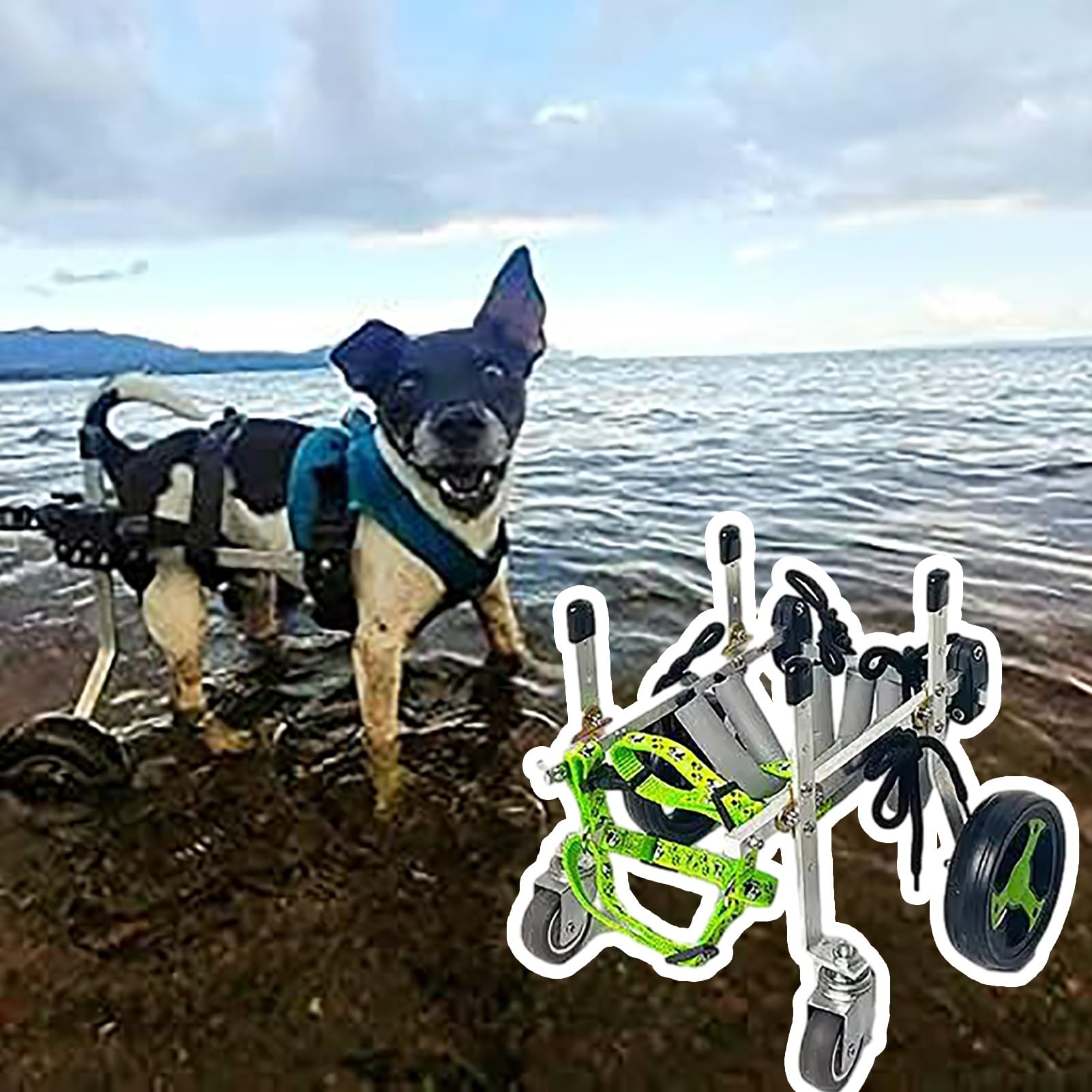 Silla de ruedas para perros ajustable, ayuda de movilidad para mascotas grandes y pequeñas