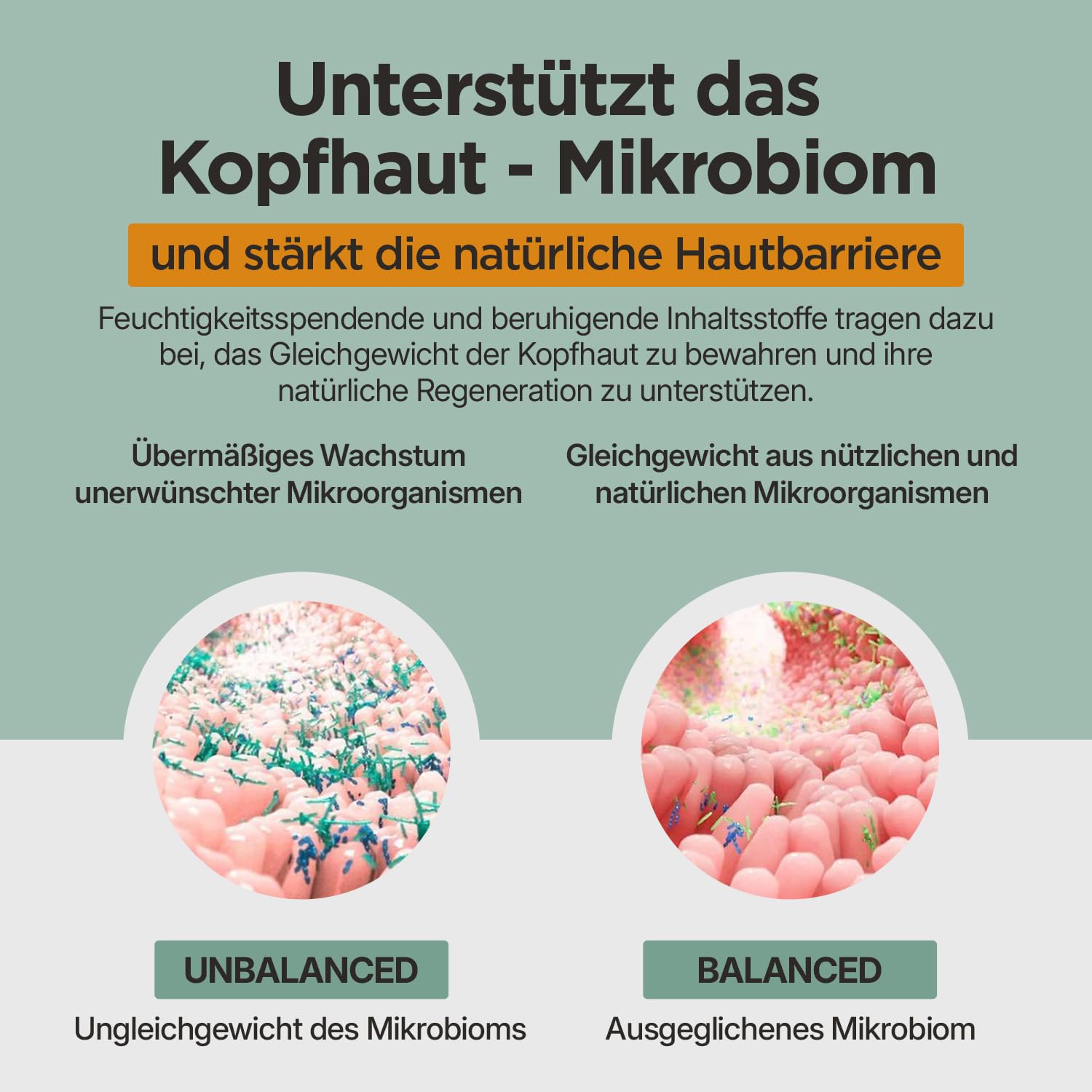 Dr. Hill Follicin® Leave-In Kopfhaut-Tonic – Dermatologisch entwickelt – Für empfindliche, gereizte Kopfhaut – Beruhigt Juckreiz & sichtbare Rötungen – pH-hautneutral, parfumfrei, alkoholfrei – 100 ml