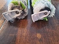 Review Image by Amanda